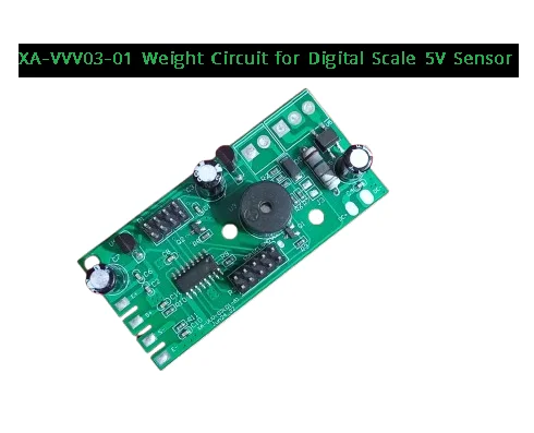 Weight Measurement Circuit for Digital Scale