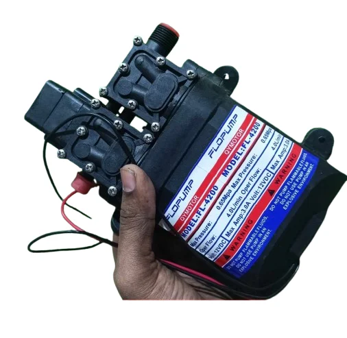 Double Motor 12V 160W High Pressure Water Pump for Car Wash