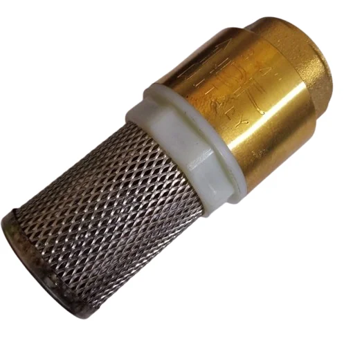 Buy 3/4 Inch Foot Valve Copper with SS Net Filter Pump