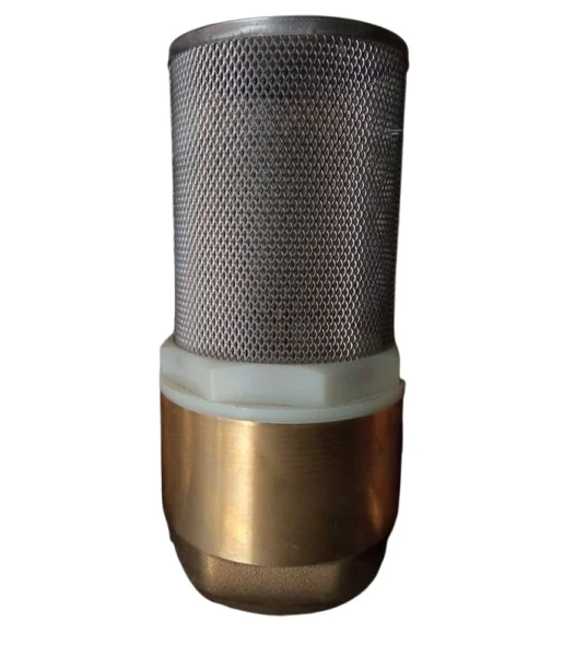 Buy 2 Inch Copper Foot Valve with SS Net Filter for Pump